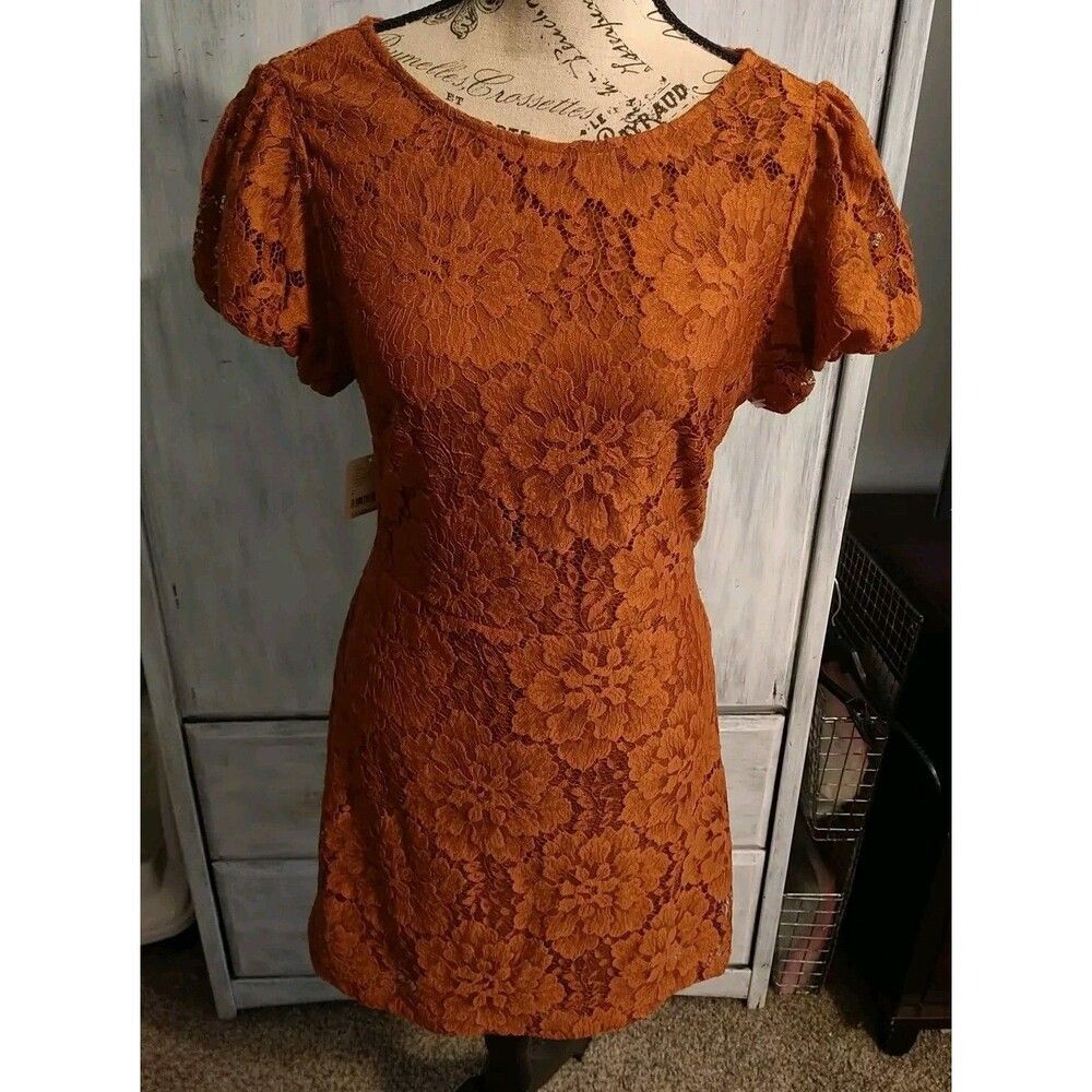 Free People  Sleeve Lace Cut Out Dress NWT Sm Boho Cottage Core Feminine